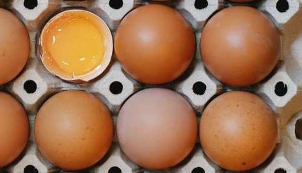 Британские фермеры  предупредили о возможном дефиците куриных яиц из-за подорожания кормов и электричества